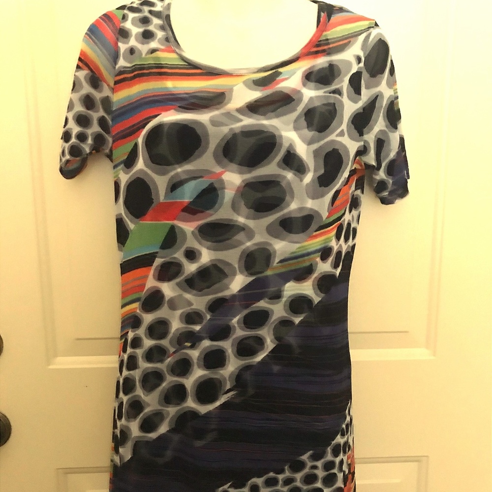 Lynn Ritchie Two piece Tank/Tunic.